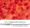 nesh ザクロ スカルプシャンプー【保湿】 480ml  / 頭皮ケアシャンプー の画像