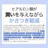 ずぼらん ノーセバム ミネラル パウダー 5g パフ付き / フェイスパウダー の画像