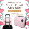 MJCARE オリジナル ギフトセット 7種70枚 【 ミニサイズ キャリーケース＆ミニブローチ付き 】 の画像